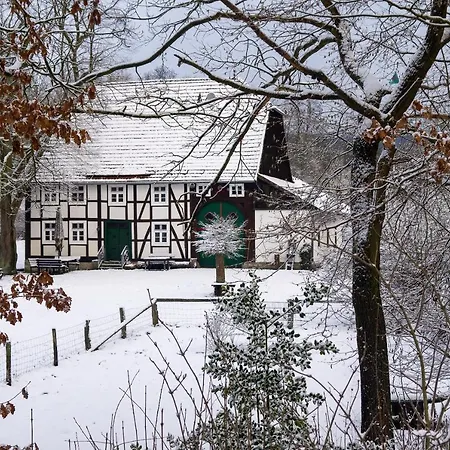 Suffelmuehle * באד דריבורג